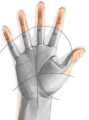Handkirurgiskt diagnosstöd: fingertopp eller ytterfalang