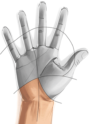 Handkirurgiskt diagnosstöd: handled 